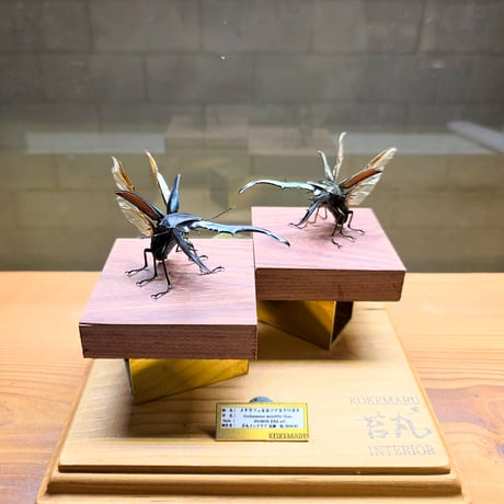 苔丸インテリア(公式ネットショップ)