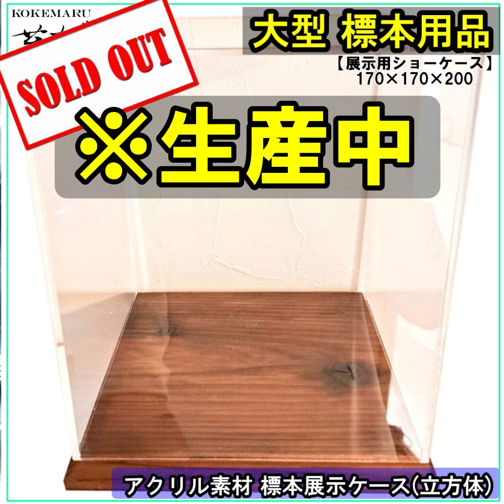 大型標本展示用ショーケース】200×200×210 ※アクリル製ケース