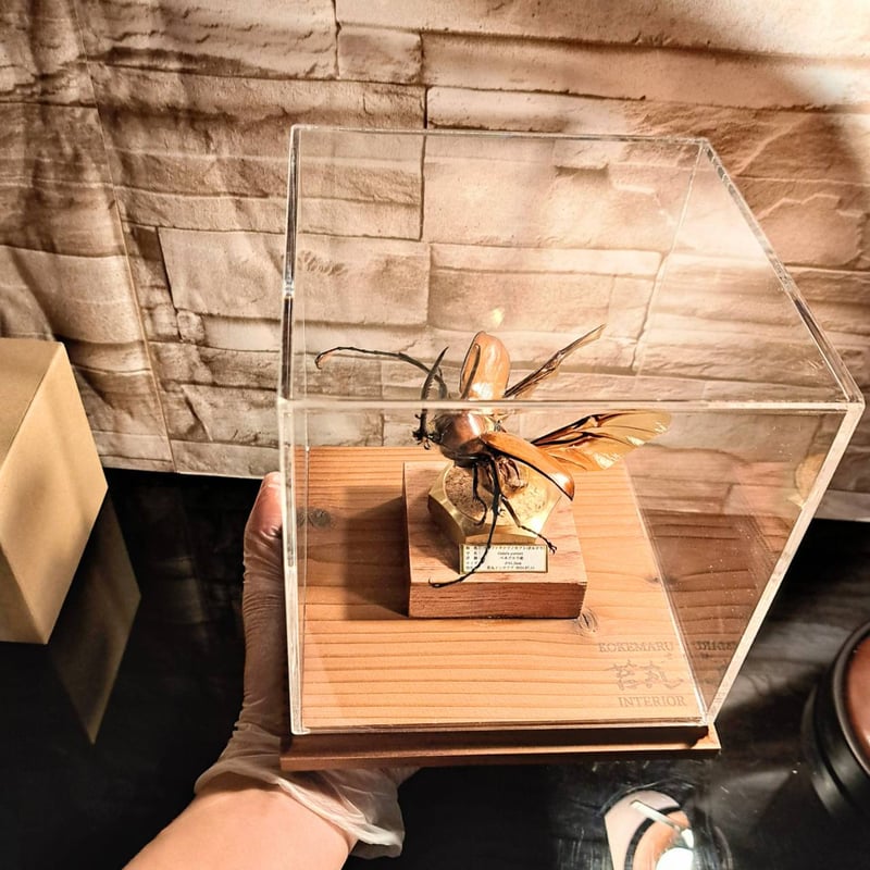 大型標本展示用ショーケース】200×200×210 ※アクリル製ケース