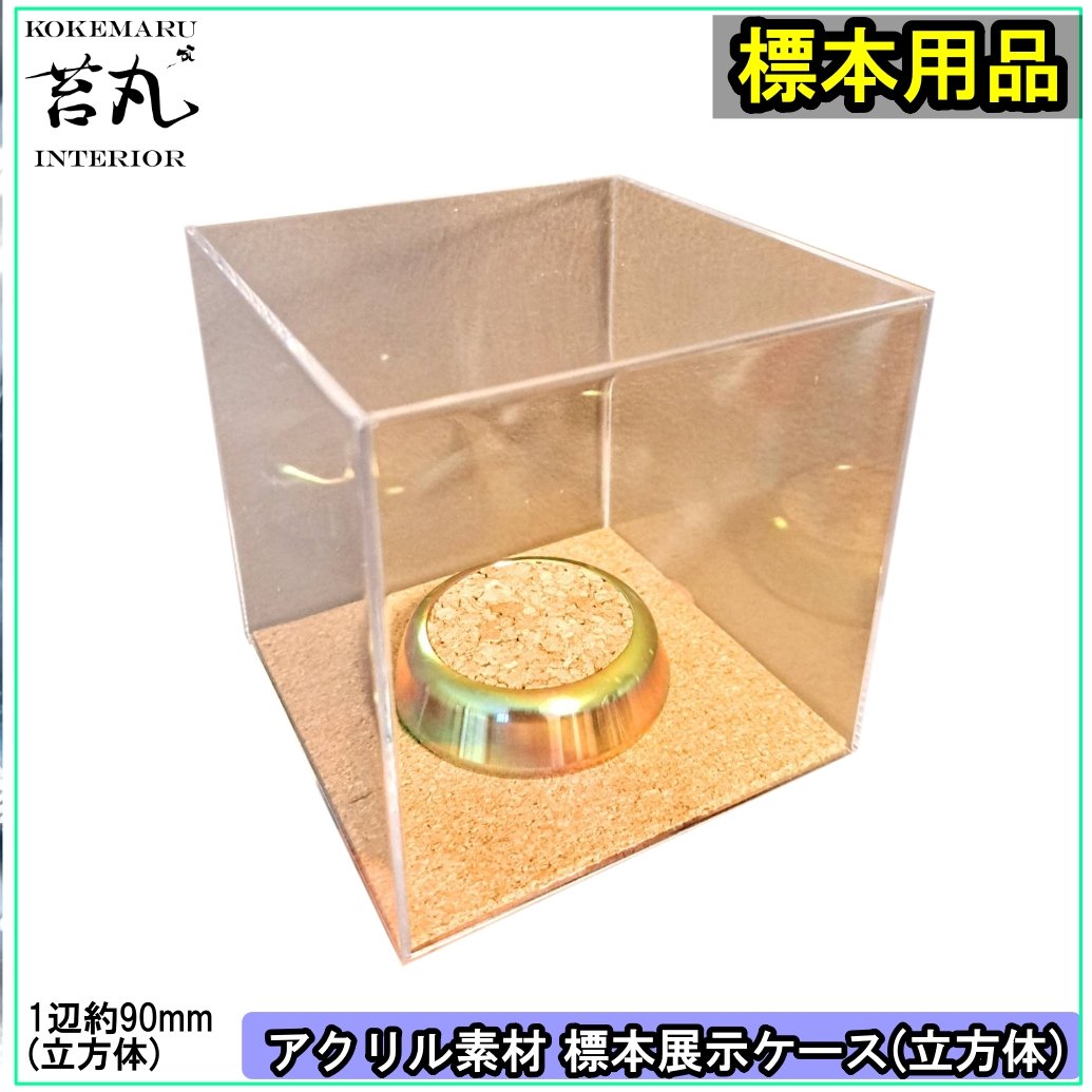 キューブ型展示ケース(M)】アクリル素材 90mmサイズ 針刺し