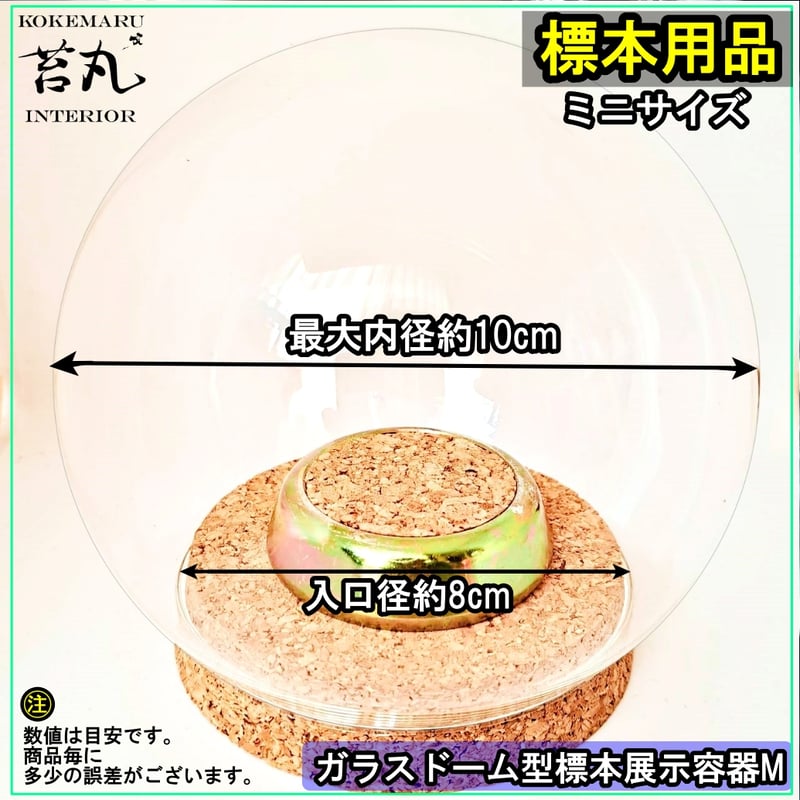ガラスドーム型展示ケース(S)】直径10㎝ 針刺しコルク台座付き | 苔丸