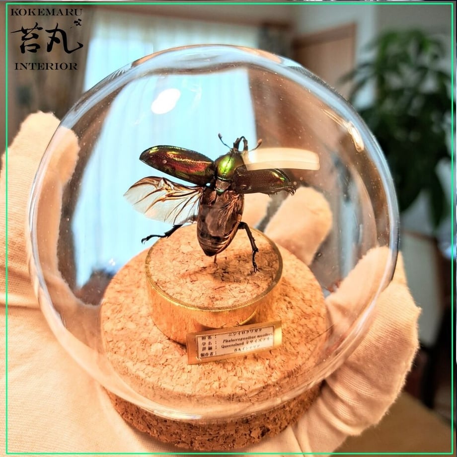 64aa6cf563f5f6002e2ed0eb