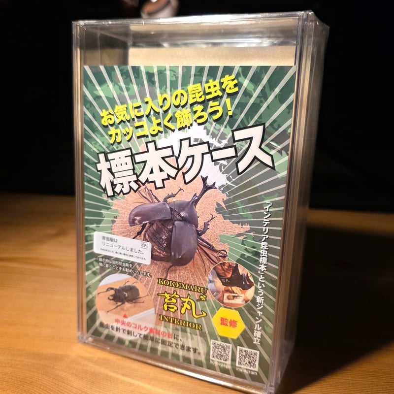 クワガタ標本 8体セット 展示ケース付き 標本展示ケース販売； オシャレに昆虫標本を飾ろう；苔丸インテリア