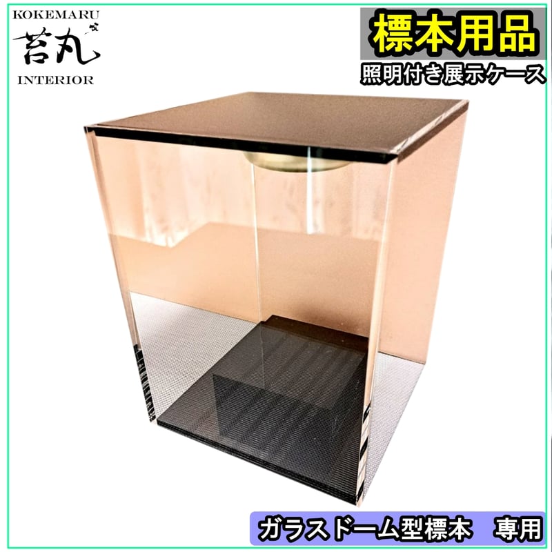 生産終了【照明付き展示用ショーケース】 | 苔丸インテリア(公式ネット