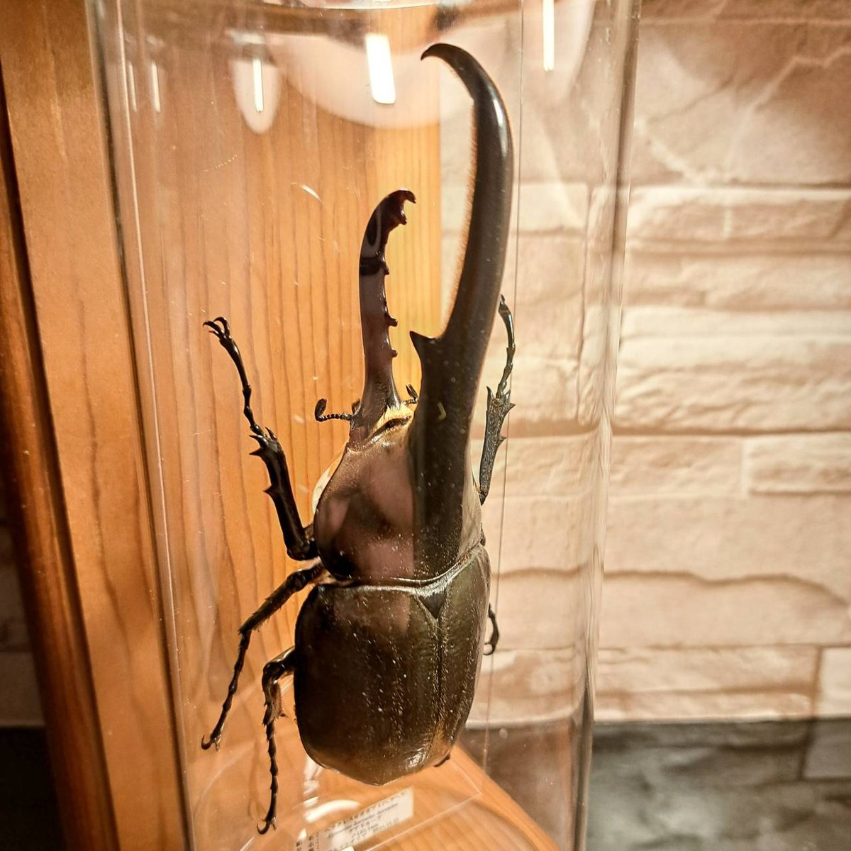 fit=scale-down,w=1200