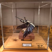 HYOHON『角』s20】ヘラクレスオオカブト♂142.3mm 立体標本立体飛翔