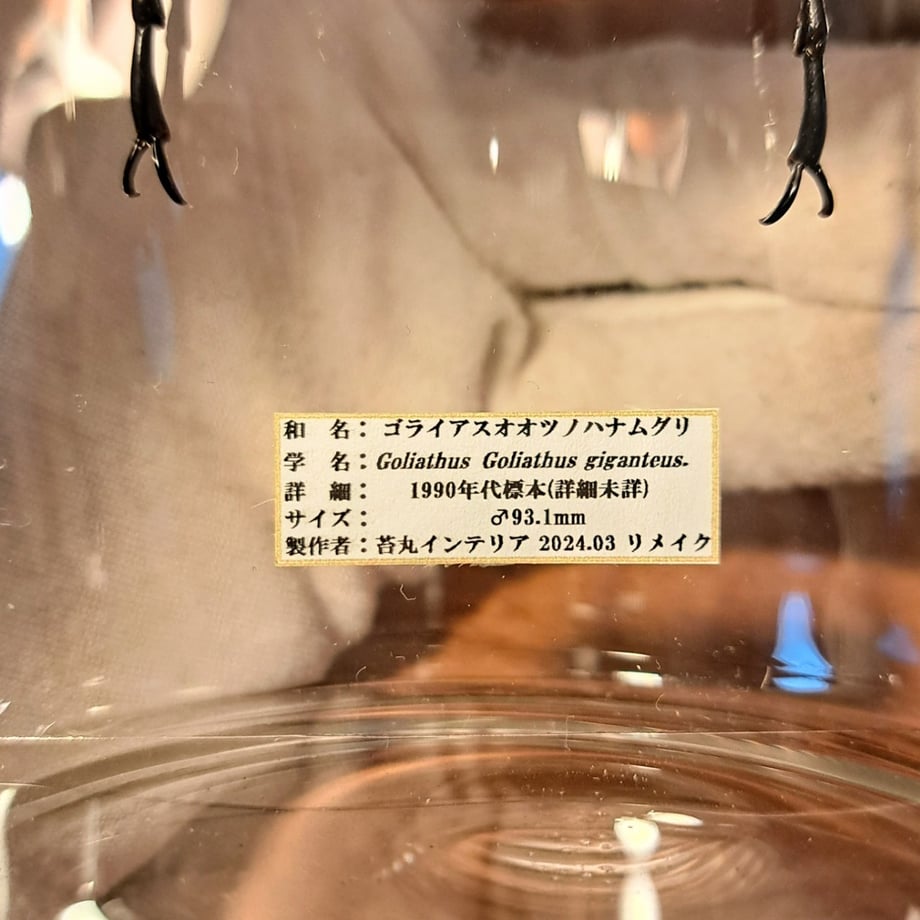 6661cdb3d397ae0c47009559