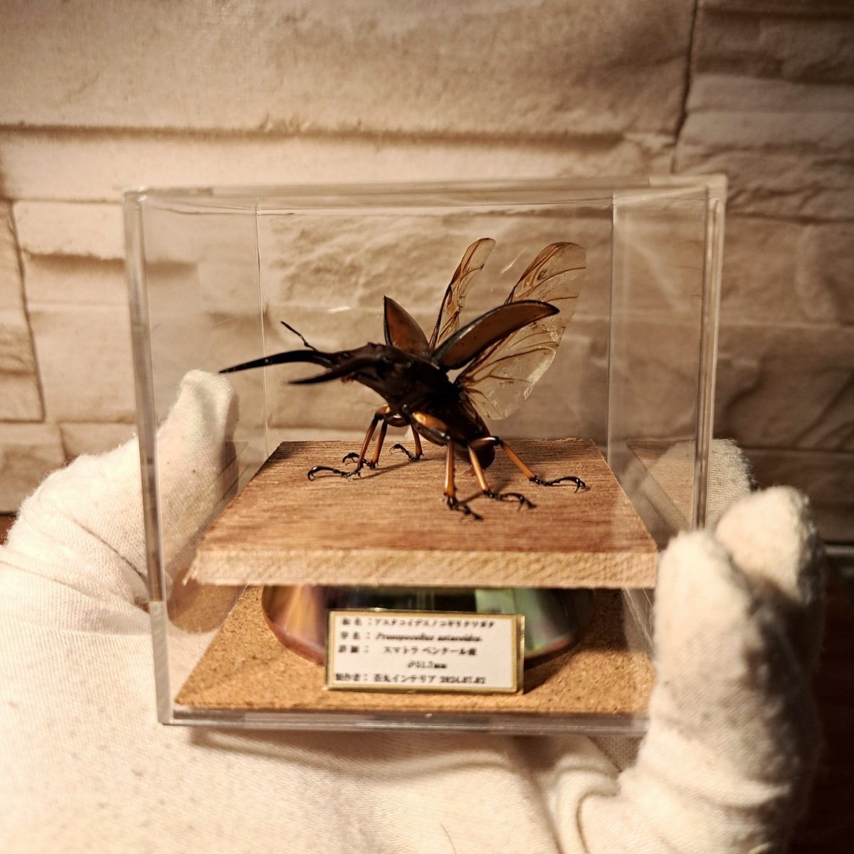 fit=scale-down,w=1200