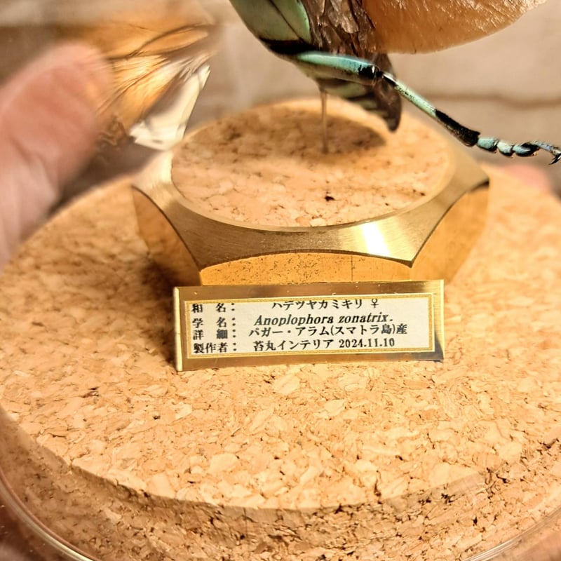 青花　花瓶　花入　壺　昆虫デザイン　カマキリ　蟷螂　中国　染付 中国古美術品青花花瓶花入壺昆虫デザインカマキリ蟷螂中国染付