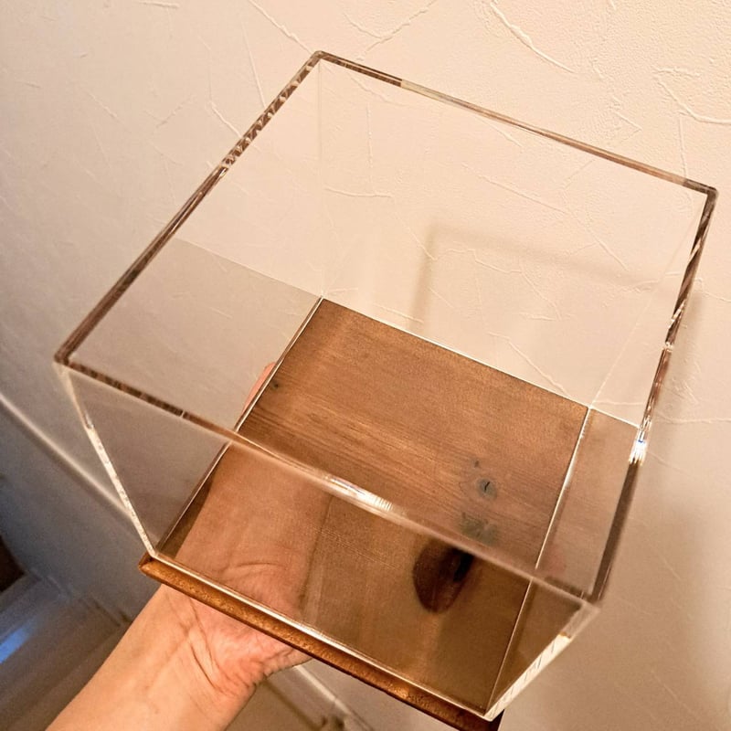大型標本展示用ショーケース】150×150×160 ※アクリル製ケース