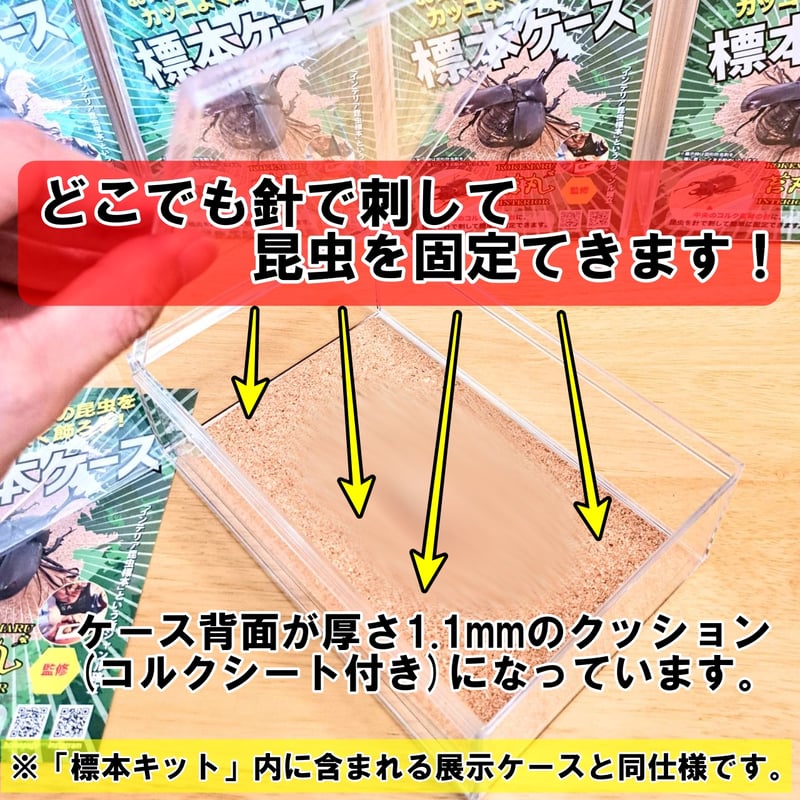 標本ケース】お手軽標本ケース(どこでも刺して固定できるタイプ) | 苔