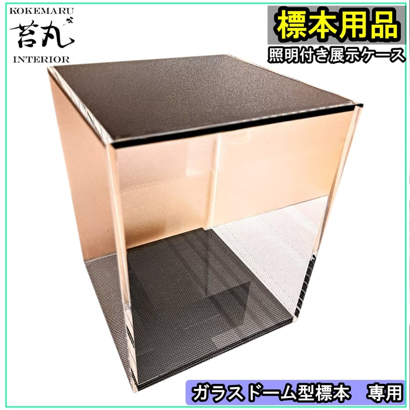 生産終了【照明付き展示用ショーケース】 | 苔丸インテリア(公式ネット