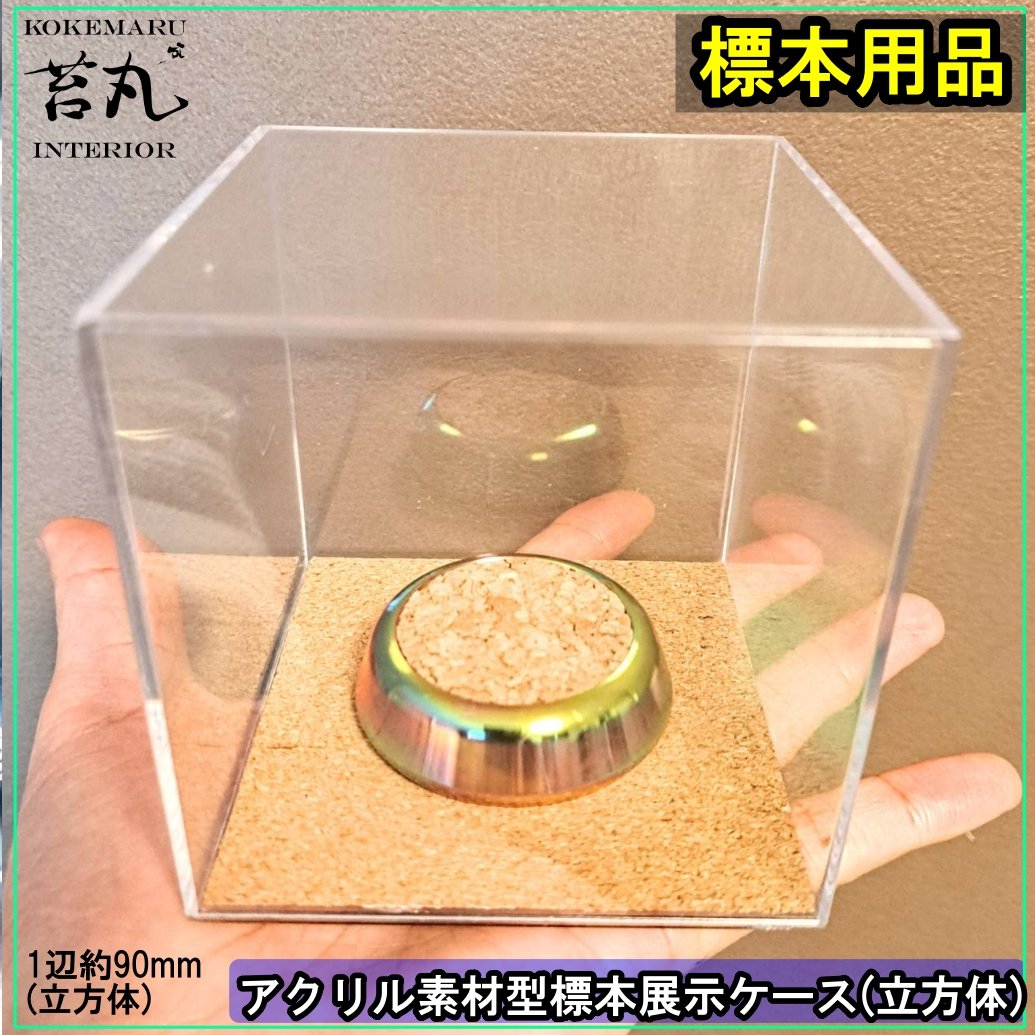 1390 ②蓋付 レトロな標本ケース(小3、大1)4個セット ガラスケース