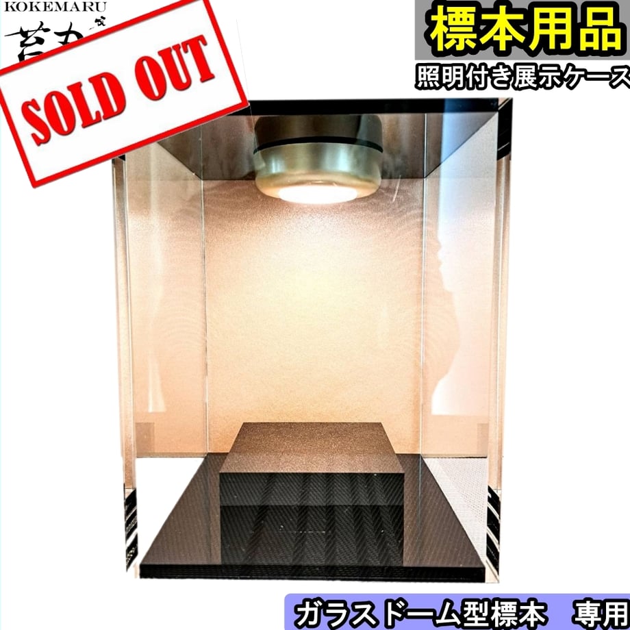 6547a6abe70d97305f0b5c40