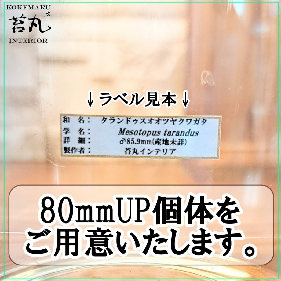 657822c75c88a20029f392c5