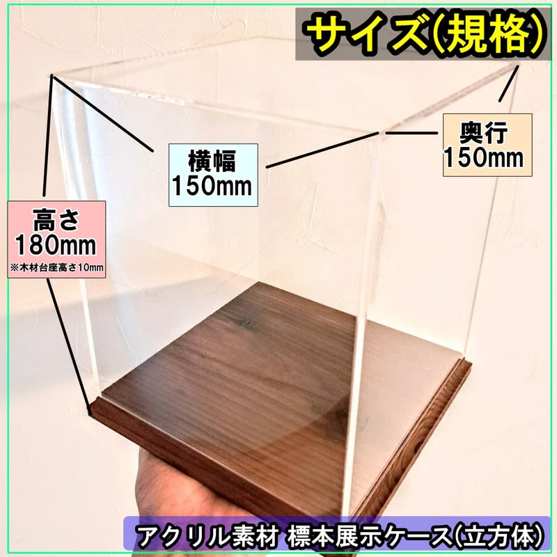大型標本展示用ショーケース】150×150×180 ※アクリル製ケース 大型標本展示用ショーケース】150×150×180 ※アクリル製ケース