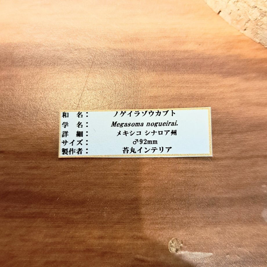 65782d2fcbce52003004bbd5