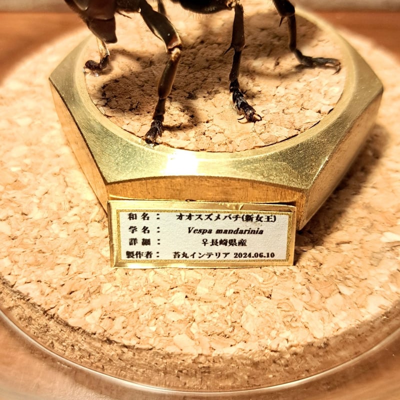 スズメページ 閑爺倶楽部 on X