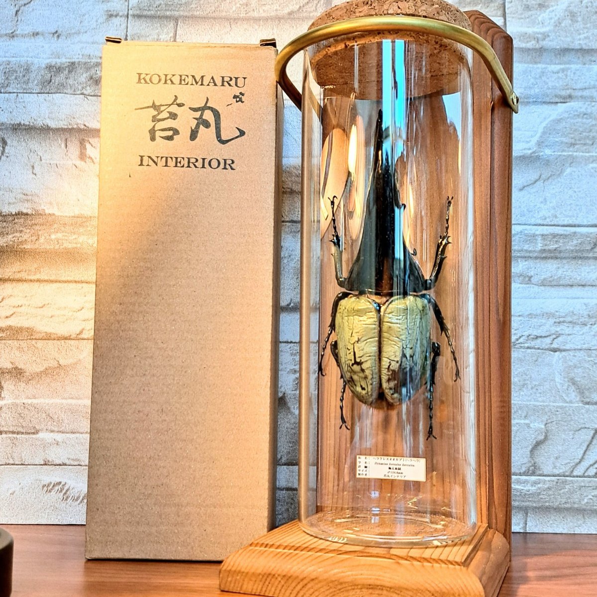 fit=scale-down,w=1200