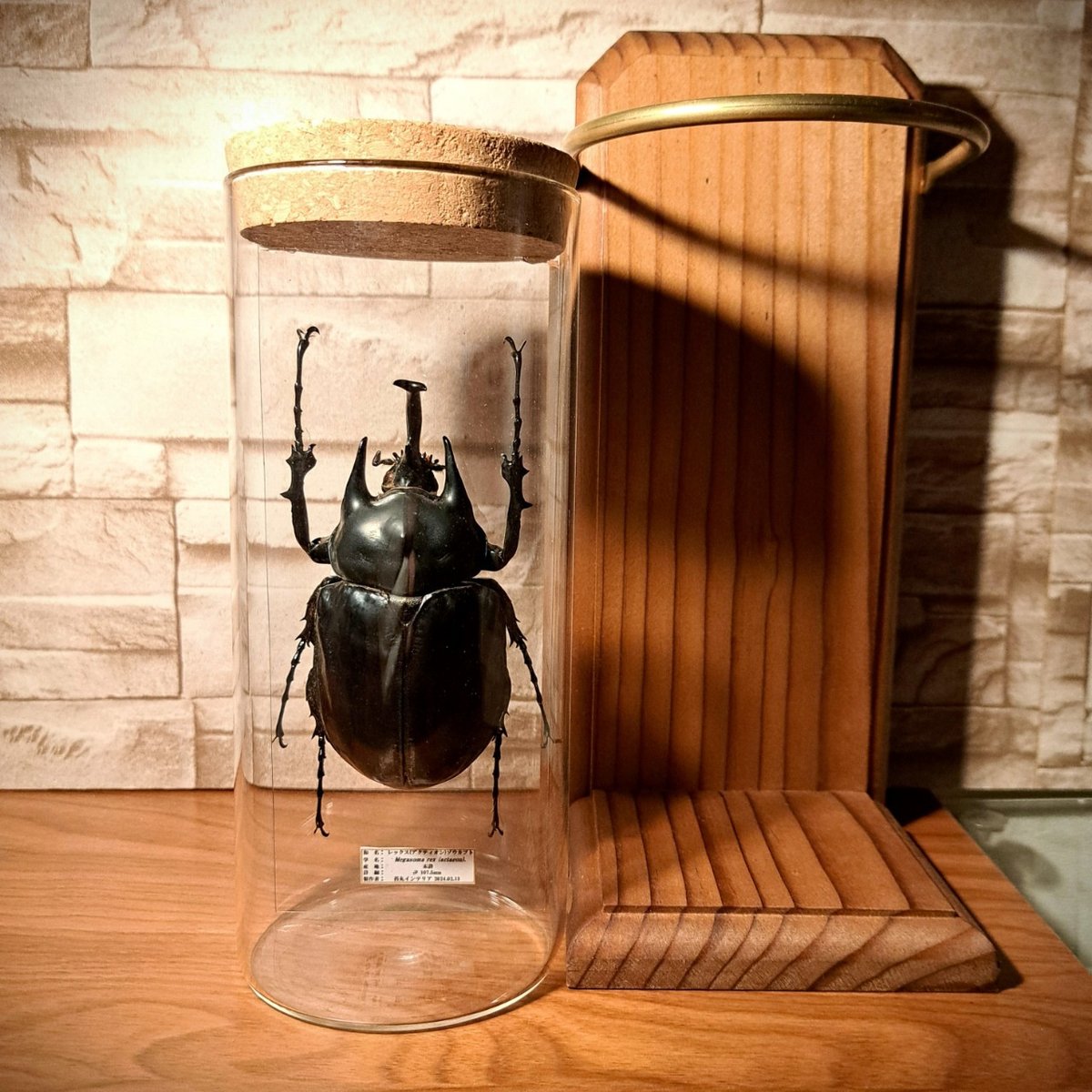 fit=scale-down,w=1200