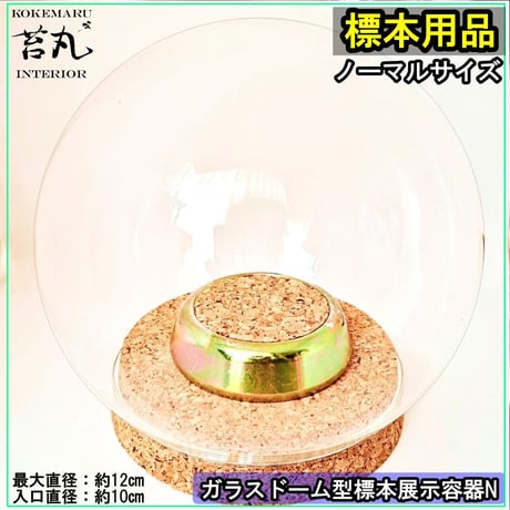 【ガラスドーム型展示ケース(Ｍ)】直径12㎝ 針刺しコルク台座付き