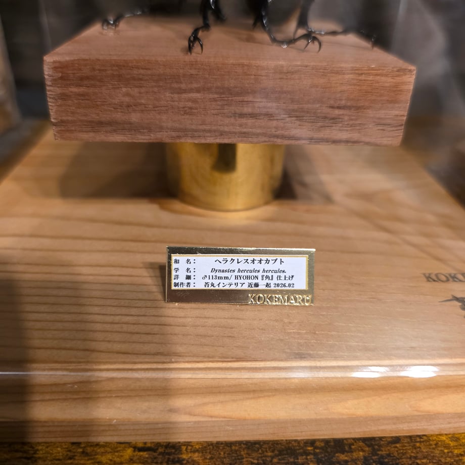 6981946cf76ce710ee3914f1