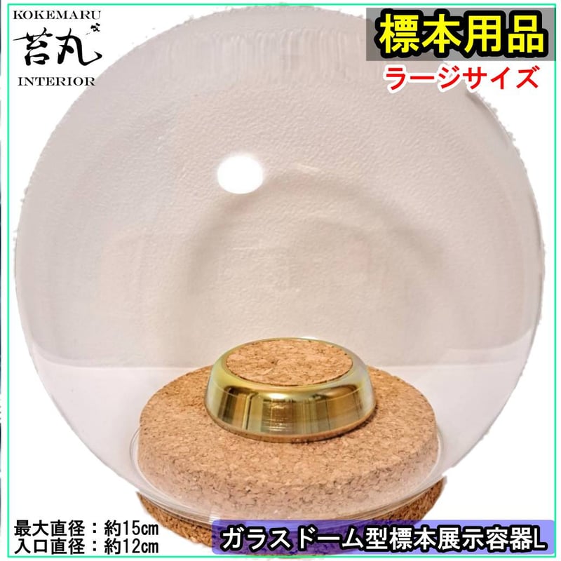 アンティーク ガラスドーム展示ケース 2300112-1.jpg