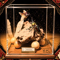 レア品【昆虫標本】デザートへアリースコーピオン 立体タイプ アクリル