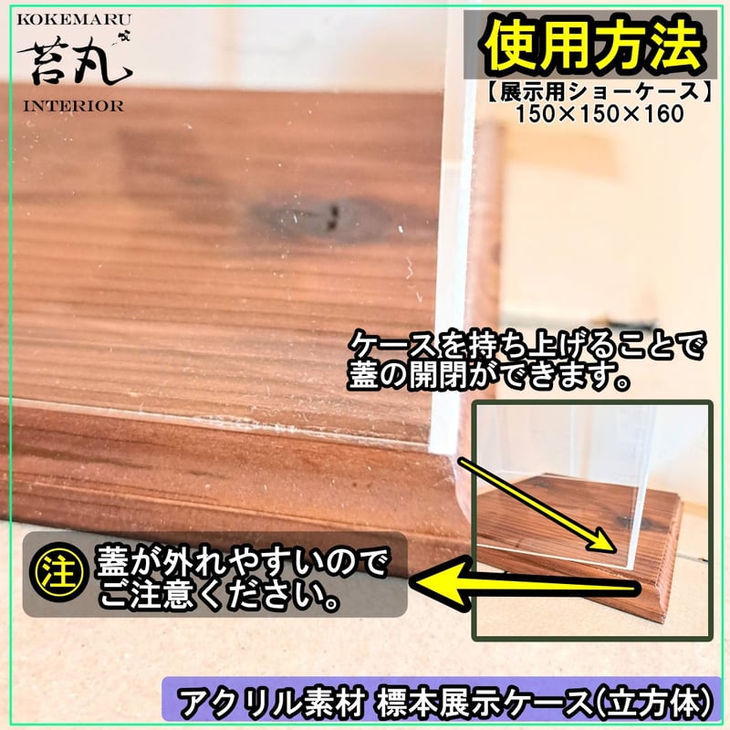 大型標本展示用ショーケース】170×170×200 ※アクリル製ケース、無垢材