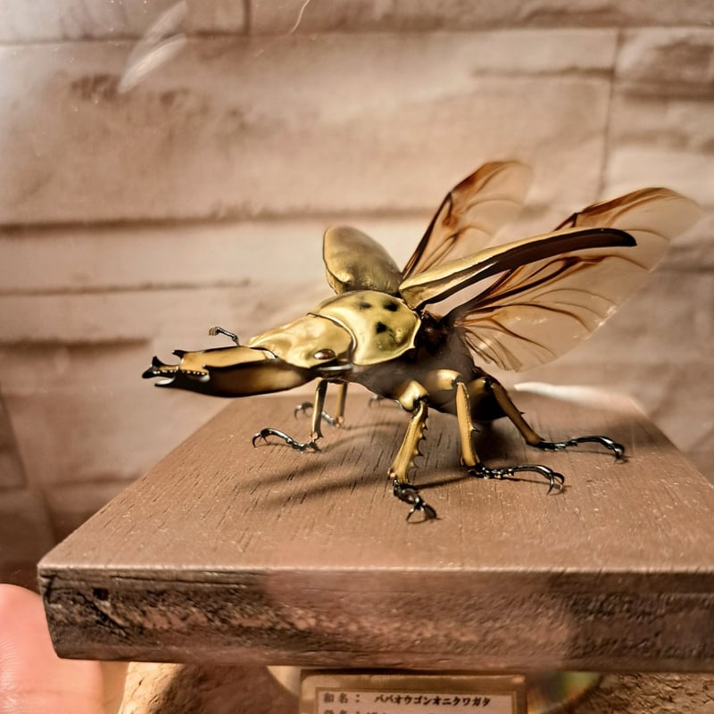 HYOHON『球』L】ババオウゴンオニクワガタ♂57mm 立体飛翔型ガラス