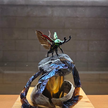 苔丸インテリア(公式ネットショップ)