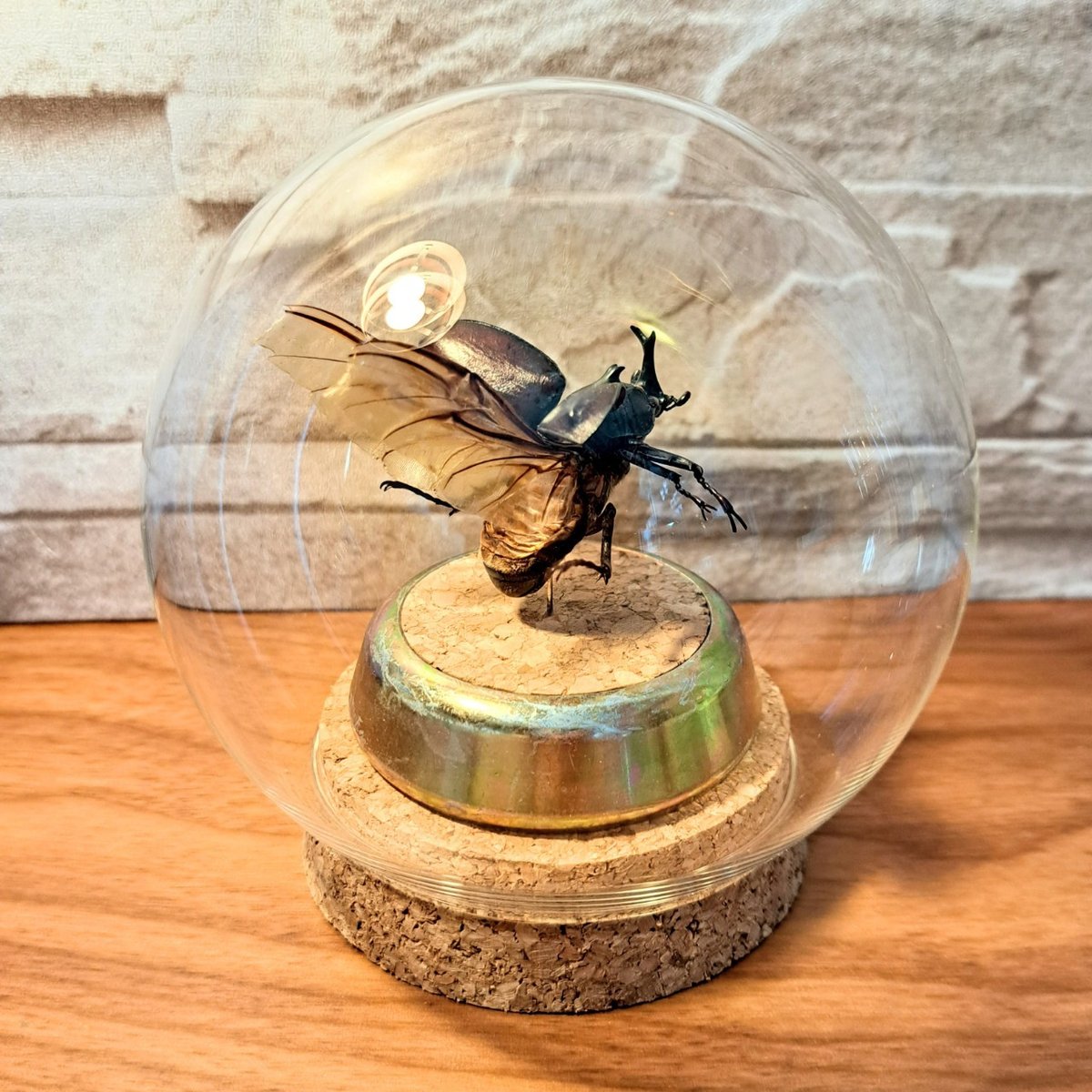 fit=scale-down,w=1200