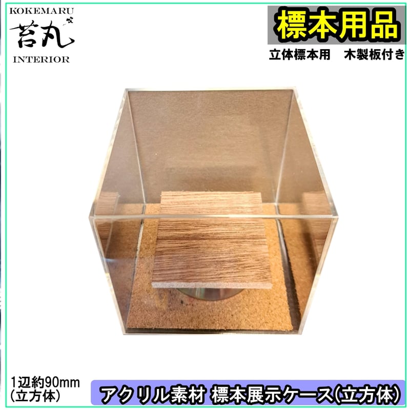 キューブ型展示ケース(M)】アクリル素材 90mmサイズ ☆板アリ(立体標本