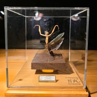 昆虫標本】エレファスゾウカブト(不全個体)♂95.1mm 立体標本 大型