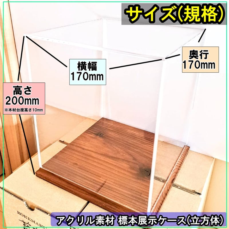 大型標本展示用ショーケース】170×170×200 ※アクリル製ケース