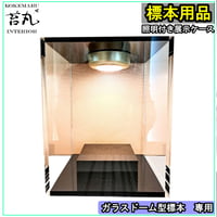 ※生産終了【照明付き展示用ショーケース】