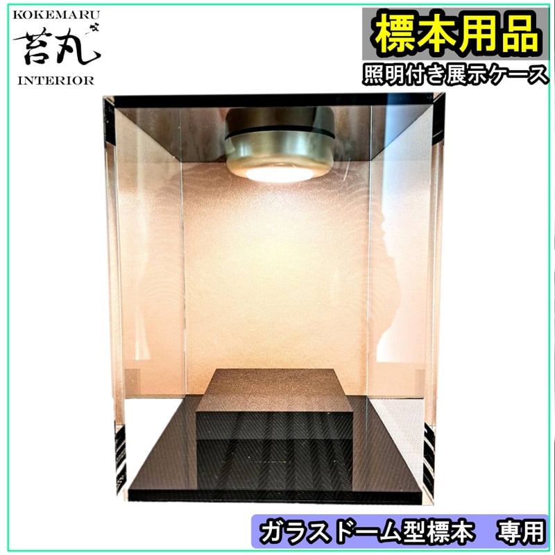 生産終了【照明付き展示用ショーケース】 | 苔丸インテリア(公式ネット