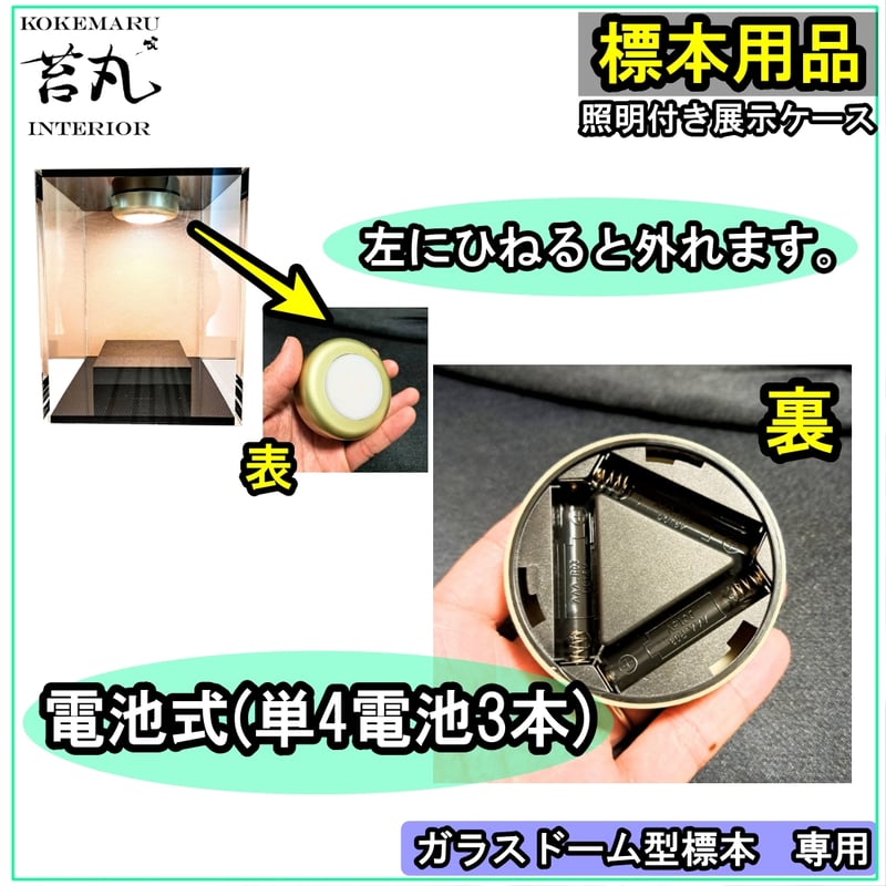 生産終了【照明付き展示用ショーケース】 | 苔丸インテリア(公式 生産終了【照明付き展示用ショーケース】 | 苔丸インテリア(公式