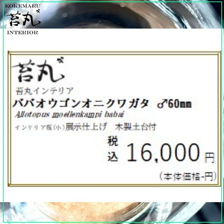 64aa753463f5f600312ec216