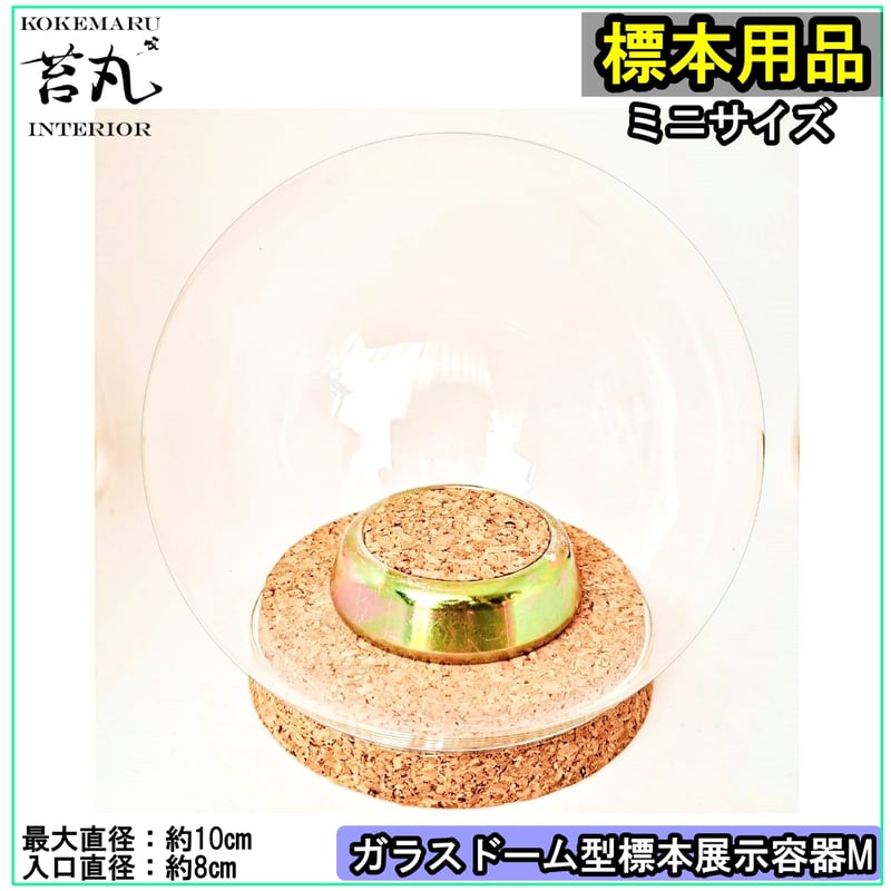 ガラスドーム型展示ケース(S)】直径10㎝ 針刺しコルク台座付き | 苔丸
