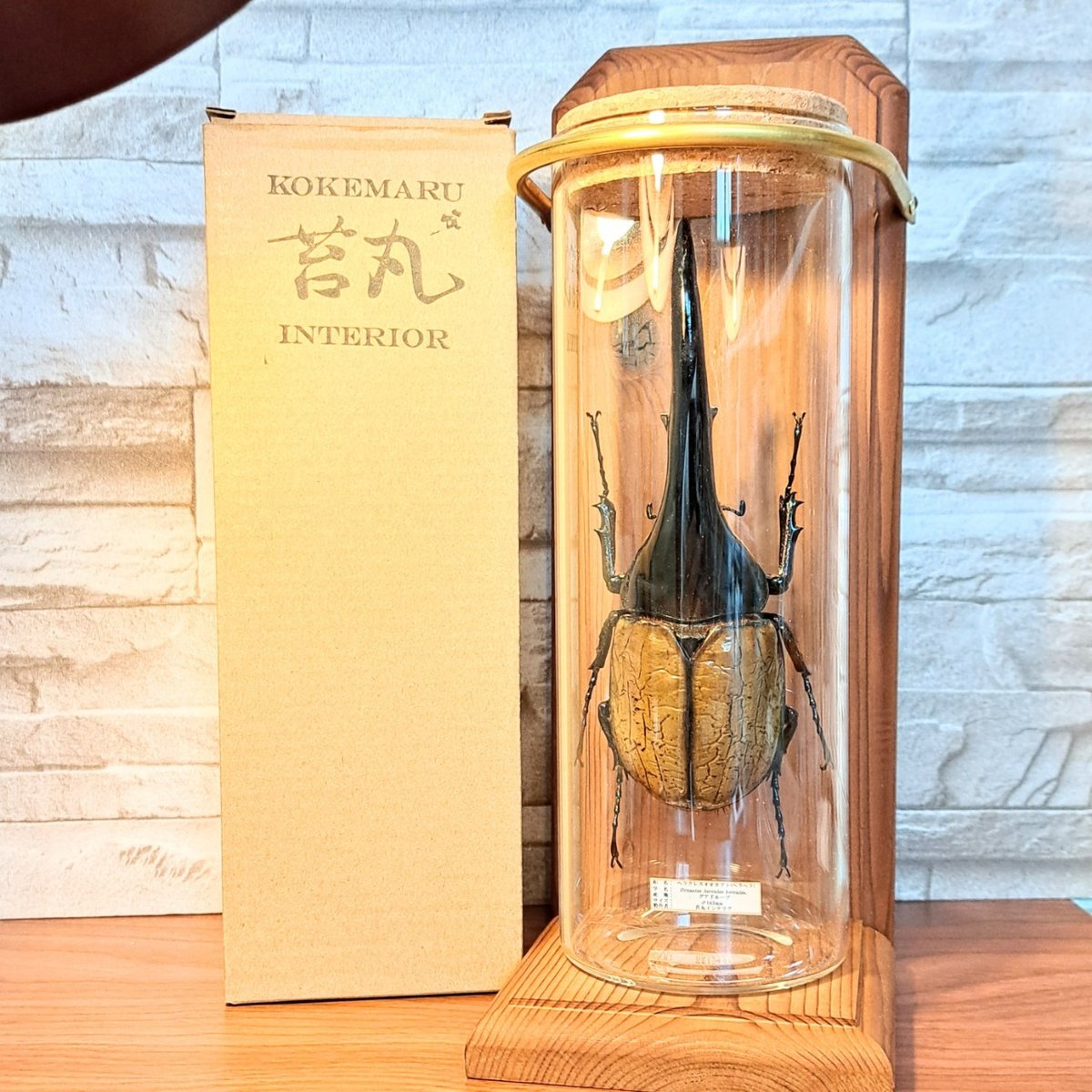 1点もの【昆虫標本】特大サイズ ヘラクレスオオカブト163mm 学術型
