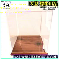【ショーケース】150×150×180 ※アクリル製ケース、無垢材土台 大型標本展示用ショーケース】170×170×200 ※アクリル製ケース、無垢材
