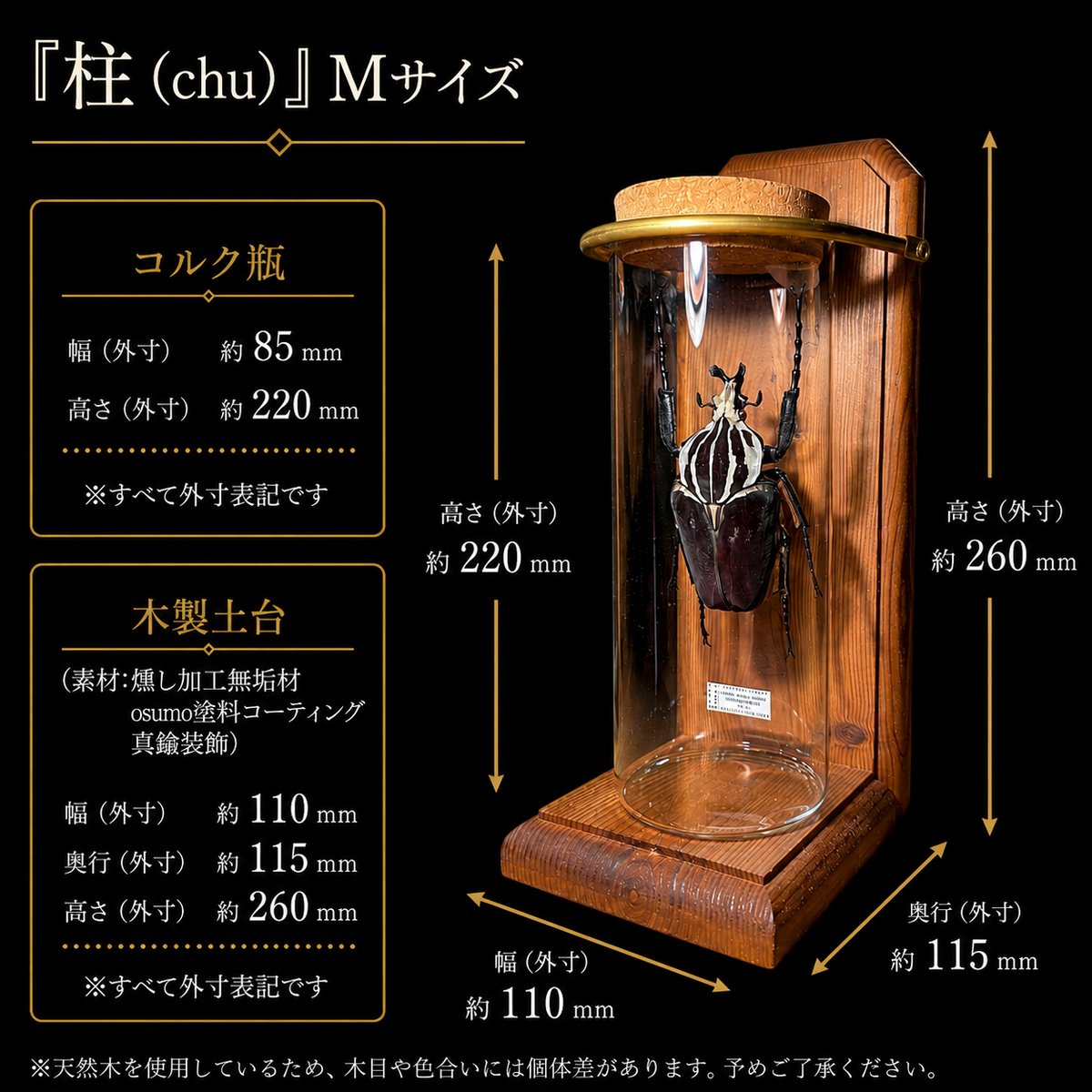 HYOHON-柱(chu)-】年代物ゴライアスオオツノハナムグリ♂93.1mm(Goliat
