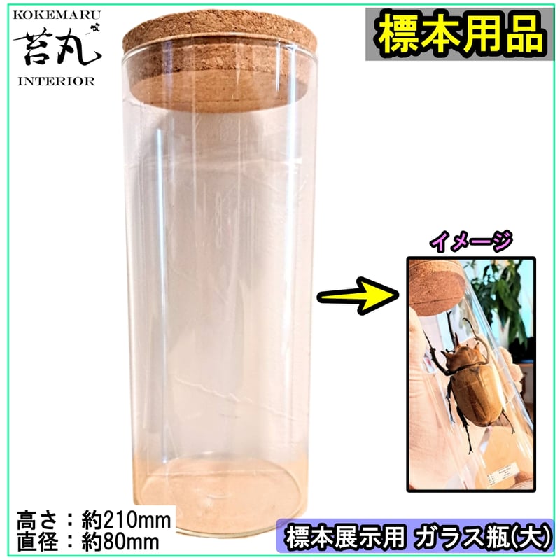 標本用品】標本展示インテリアガラス容器(苔丸オリジナル 大サイズ