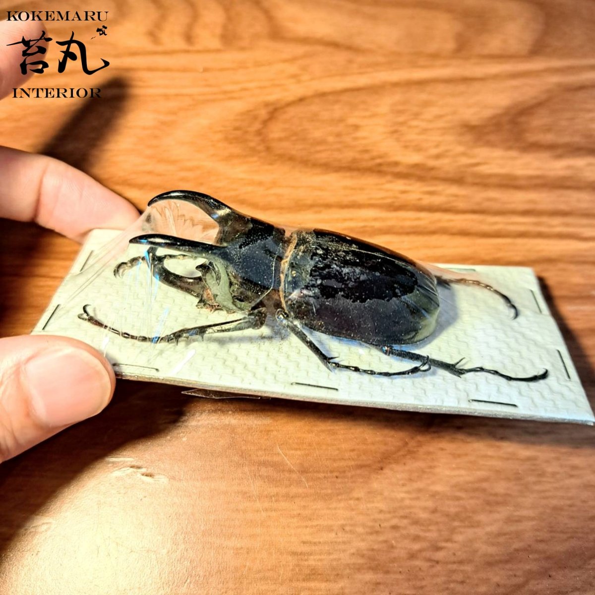 fit=scale-down,w=1200