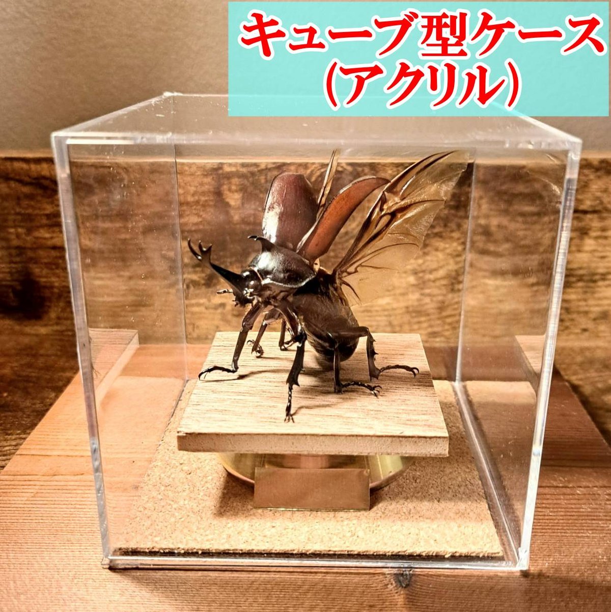 fit=scale-down,w=1200