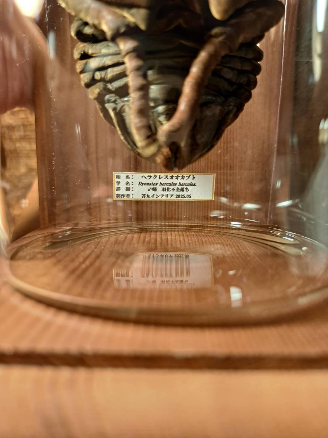 fit=scale-down,w=1200