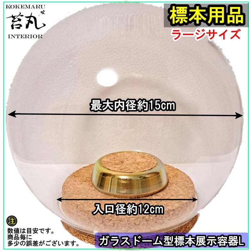 ガラスドーム型展示ケース(L)】直径15㎝ 針刺しコルク台座付き | 苔丸