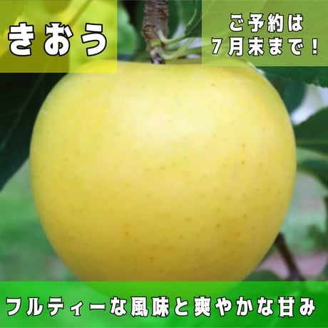 青森県産りんご | STORES