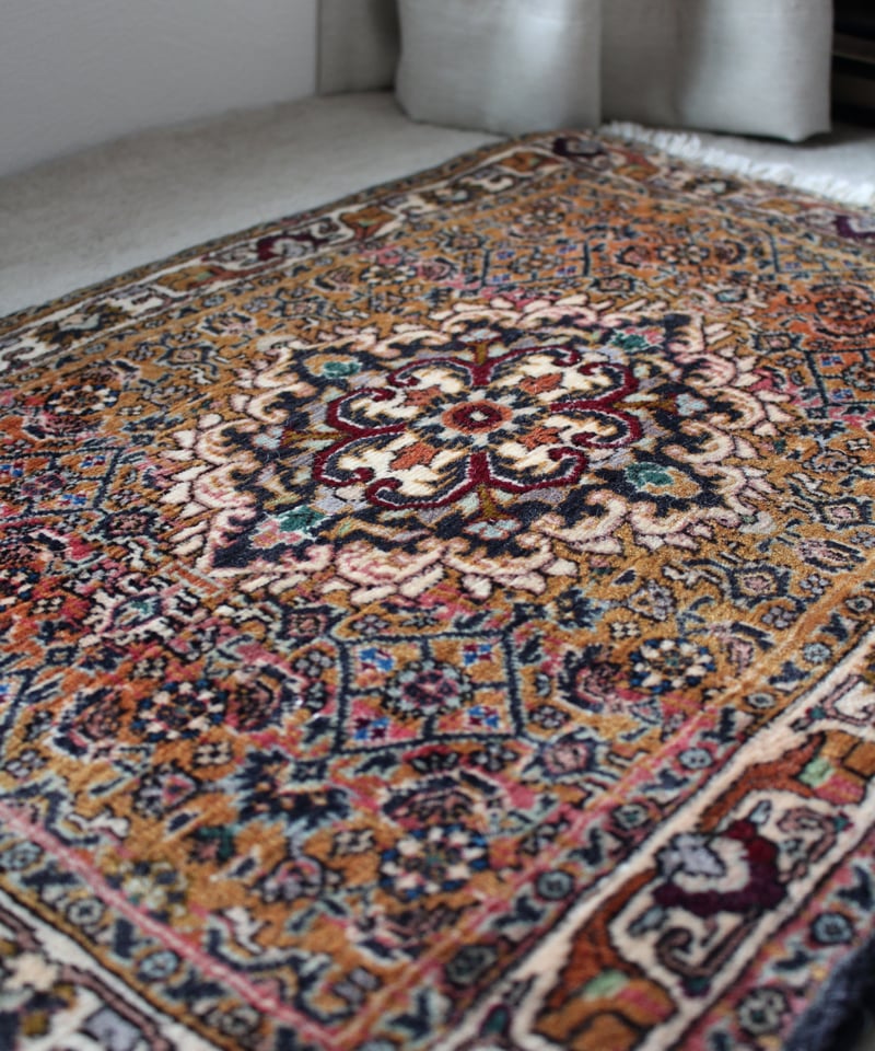 Persian Rug ビジャール P15034 | ラグトカペト